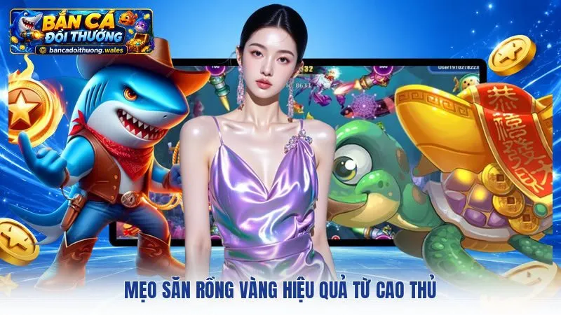 Mẹo săn rồng vàng hiệu quả từ cao thủ